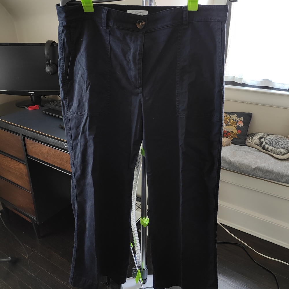 Ann Taylor Ladies Navy Chinos